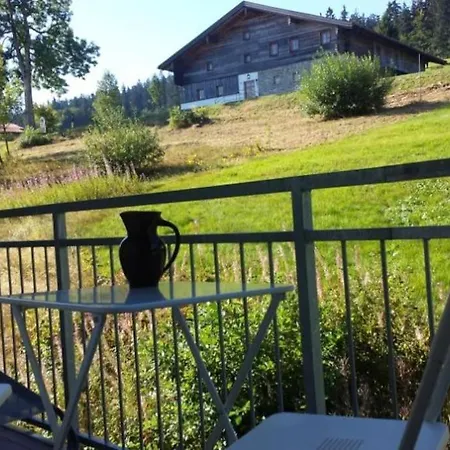 Apartment Apartment, 2 Bedrooms, Kitchen+2 Bathrooms Mitterfirmiansreut