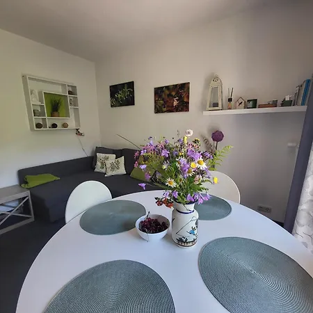 Family Apartment, 2 Bedrooms, 2 Bathrooms, Bavarian Forest