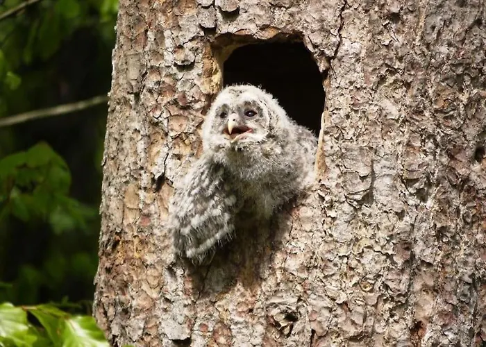 Apartment, 2 Bedrooms, Kitchen+2 Bathrooms *